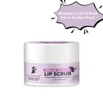 Pilgrim Squalane Blueberry Lip Scrub with Sugar & Shea Butter - 8 g image 2