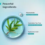 Pilgrim Tea Tree Purifying Toner with Niacinamide & Hyaluronic Acid - 100 ml image 3