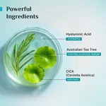 Pilgrim Tea Tree Light Non-Oily Moisturizer with Hyaluronic Acid & CICA - 80 g image 2