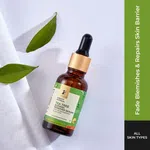 Pilgrim Tea Tree & 10% Niacinamide Blemish Remover Serum with 1% Zinc PCA - 30 ml