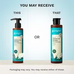 Pilgrim Argan Oil Sulphate-Free Shampoo with Korean White Lotus & Camellia - 200 ml image 2