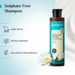 Pilgrim Argan Oil Sulphate-Free Shampoo with Korean White Lotus & Camellia - 200 ml image 3